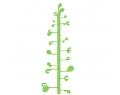 Wall Sticker - Measuring plant   